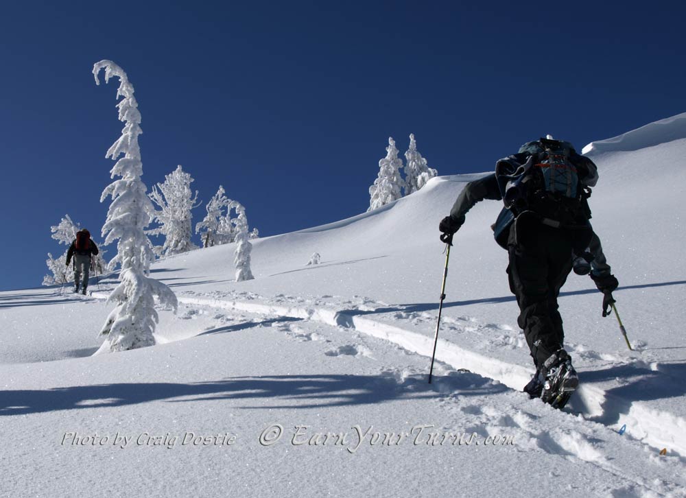 Ski Climbing Skins Buyer's Guide