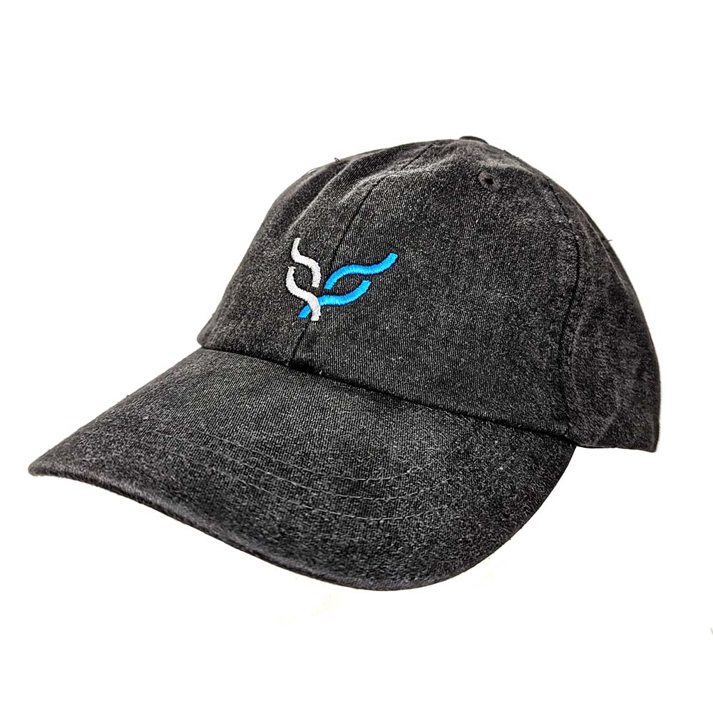 Dad Hat
